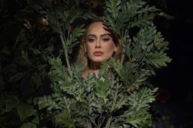 adeledailynet's tweet image. It’s giving me Kim Kardashian vibes.

ADELE ON SNL