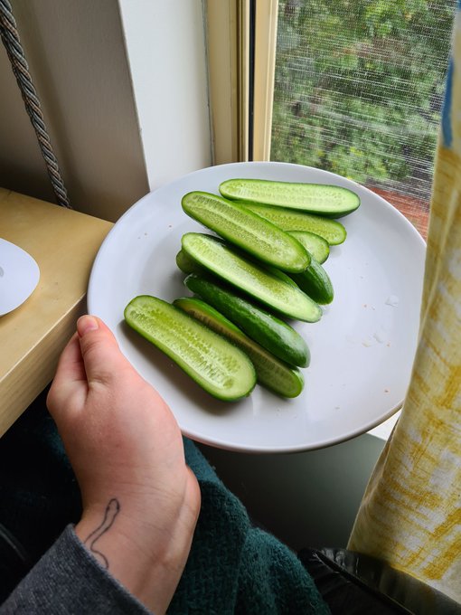 Eating baby cucumbers and watching trash tv https://t.co/mwODRyUQAh