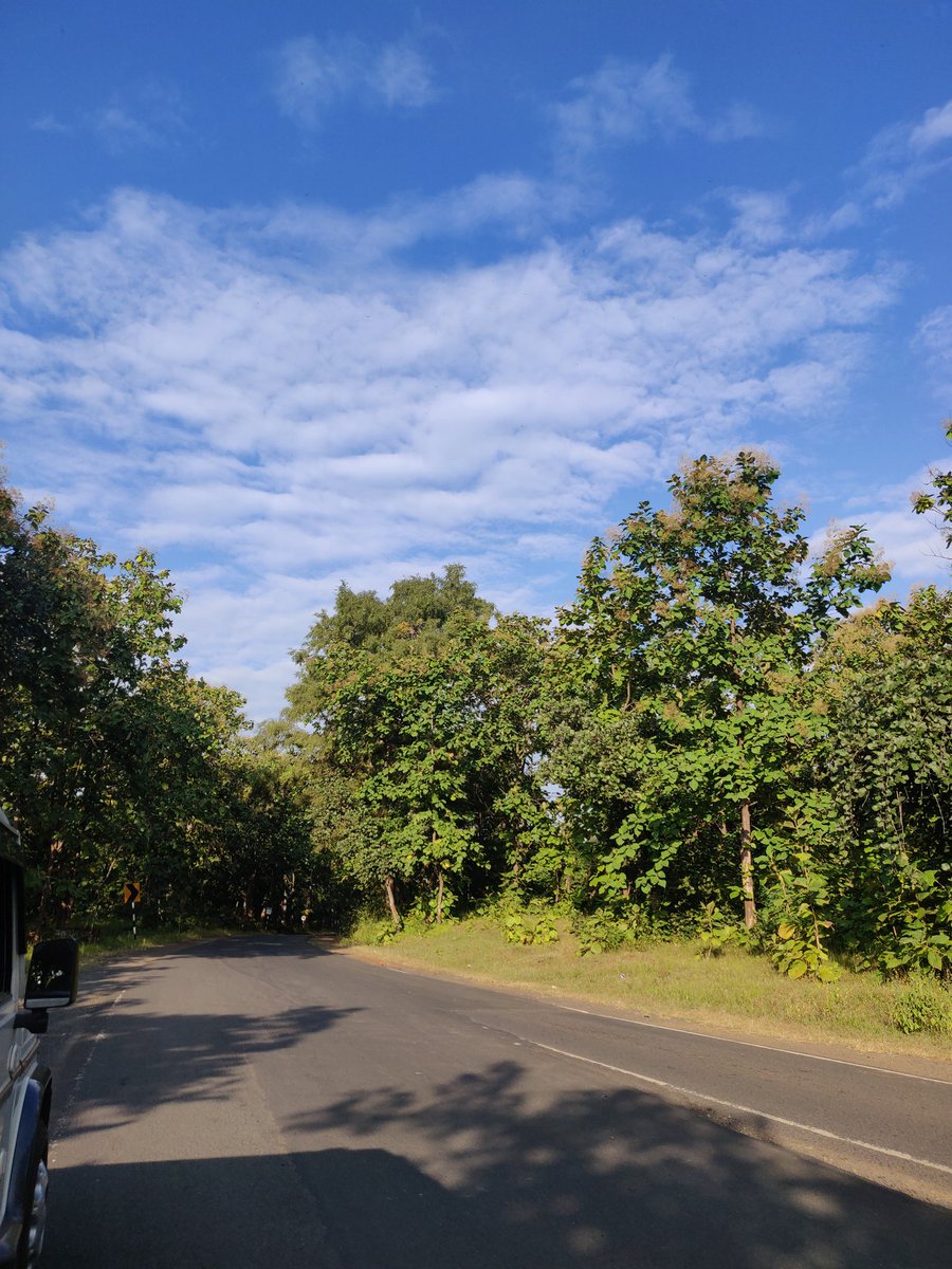 SumanSuryaa's tweet photo. Mere Gaon ki galiya.. stay green and healthy my love🥰
#naturelovers  #madhyapradesh #hope https://t.co/N8qwHzoDtR
