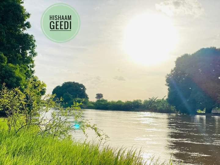 PicturesSomali's tweet photo. Dhul Barwaaqo Green🌴🍀🟢💚 Land 
Jalalaqsi Hiiraan Somalia 🇸🇴 

Sawir Qaade 📸 Hashim Omar
Sawirada Hada Ka Heshay Like 👍🏻 
Retweet dhaha. https://t.co/vfcjMkaoKl