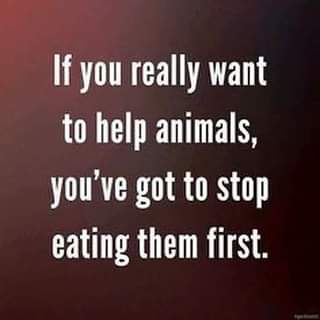 CellfLove's tweet photo. #exactly #friendsnotfood #eatplants #loveanimals #vegan #vegetarian #plantbased #quote #gottostartsomewhere https://t.co/Lv69PpNJ73