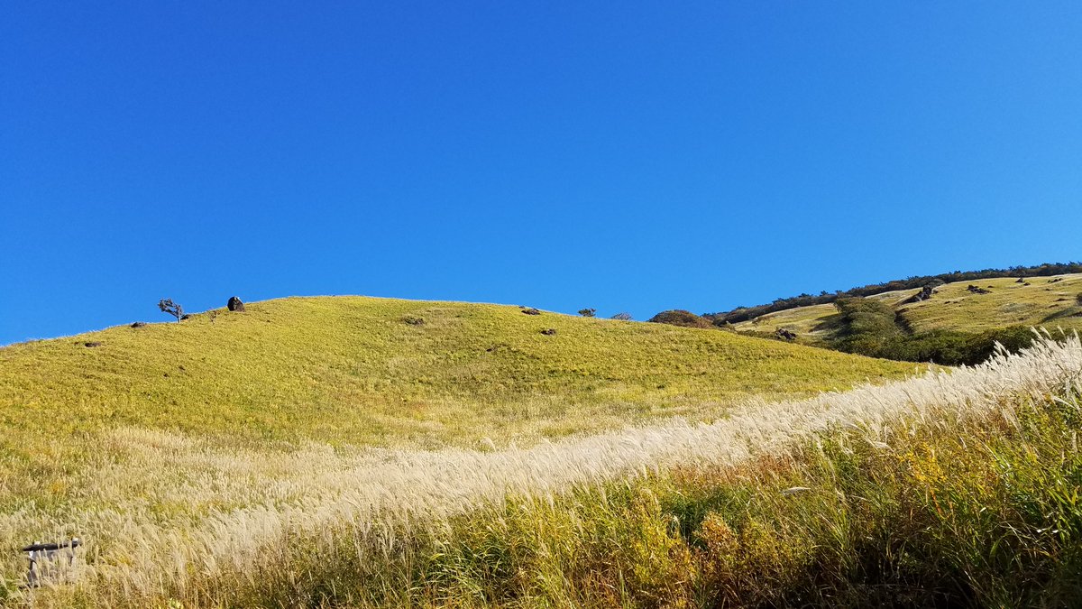 創価学会専門 田中仏壇店 九州でwindows Xp の壁紙っぽい風景を見つけました Windows Xp 壁紙 草原