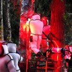 アメリカでのオオスズメバチの巣の駆除!まるでSF映画のワンシーン!