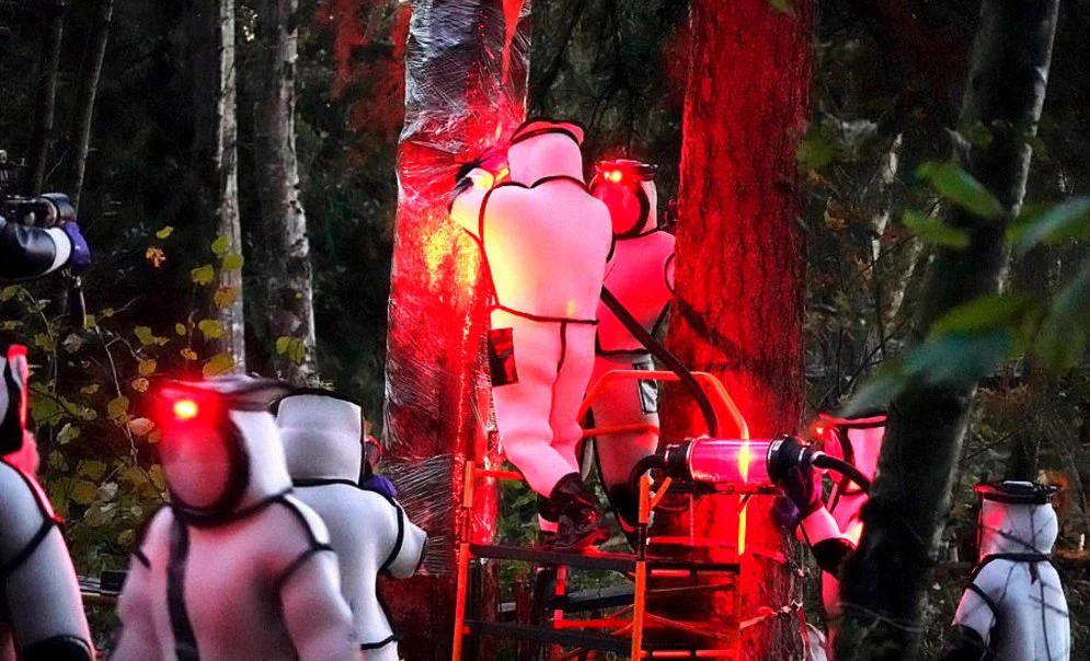 アメリカでのオオスズメバチの巣の駆除！まるでSF映画のワンシーン!!