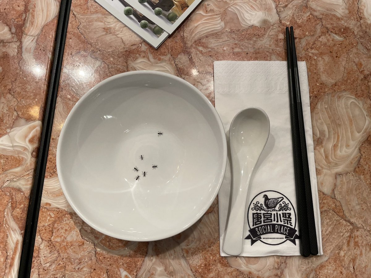 supersat_'s tweet photo. When hipster bowl decor goes terribly wrong (those are printed ants) https://t.co/ti5kJOv1aN