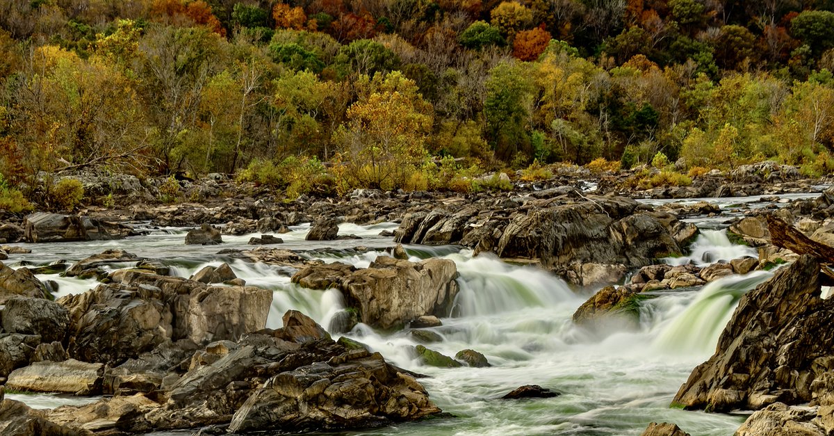 PacherPal's tweet photo. Beautiful fall colors in Great Falls National Park; was lucky to get out this afternoon. #fallcolors https://t.co/D7rfKut8lY