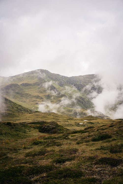 austroblog's tweet photo. Praise #amazingAustria: #naturephotography #nature #photography #naturelovers #photooftheday #landscape #travelphotography #travel #photo #wildlife #landscapephotography #love #instagood #naturelove #photographer #picoftheday #instagram #beautiful #perfection #macro #wildlifepho https://t.co/qTf3AF1ovq