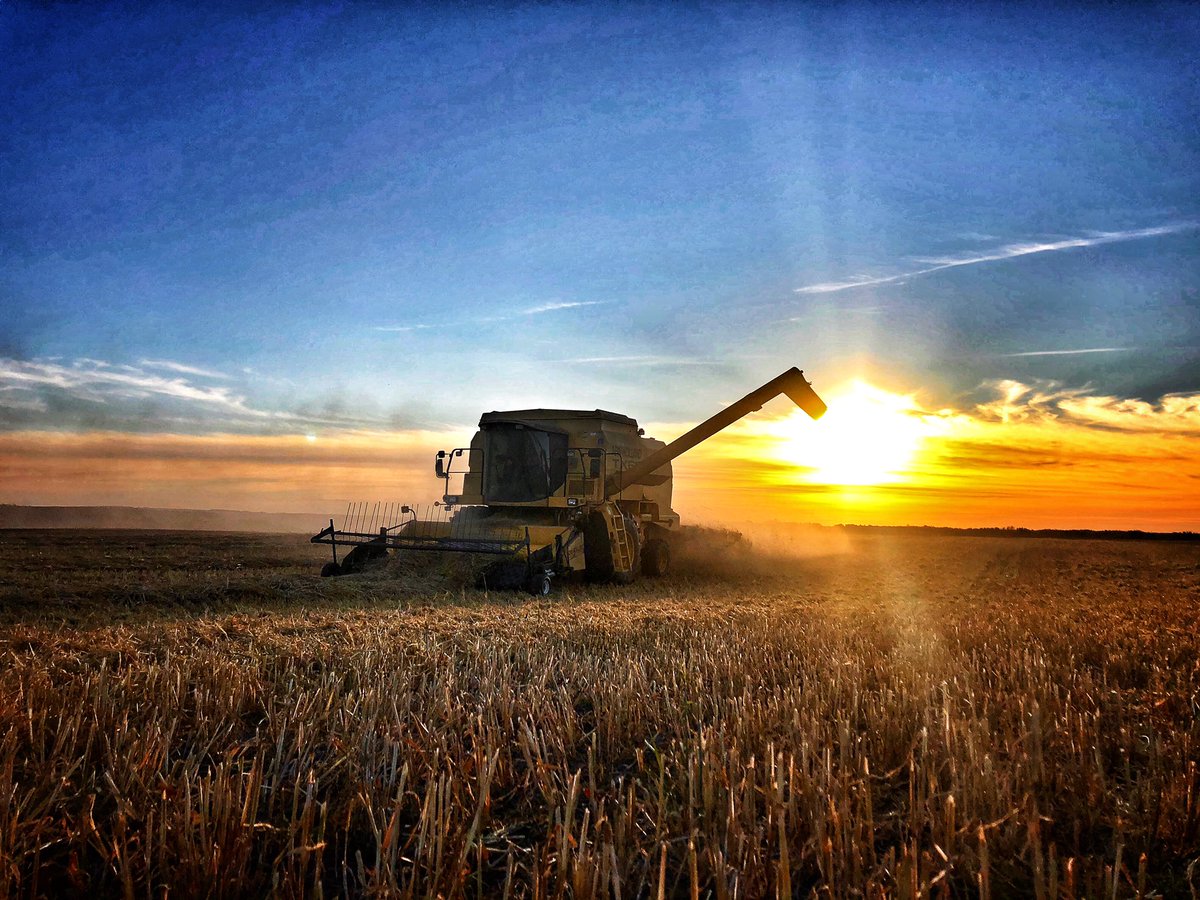 palsitta22's tweet photo. 🍂🌾🌅The last sunset of harvest 2020! #RMEHarvest20 #VCUFallPhotoContest #abag #harvest2020 #fallonthefarm #lifeonthefarm #countryliving #agmorethanever #albertaprairies #harvesttime #farmphotography #photocontest #farmmachinery #newholland #tx66 #explorealberta #farm365 https://t.co/01DeXnkVBm