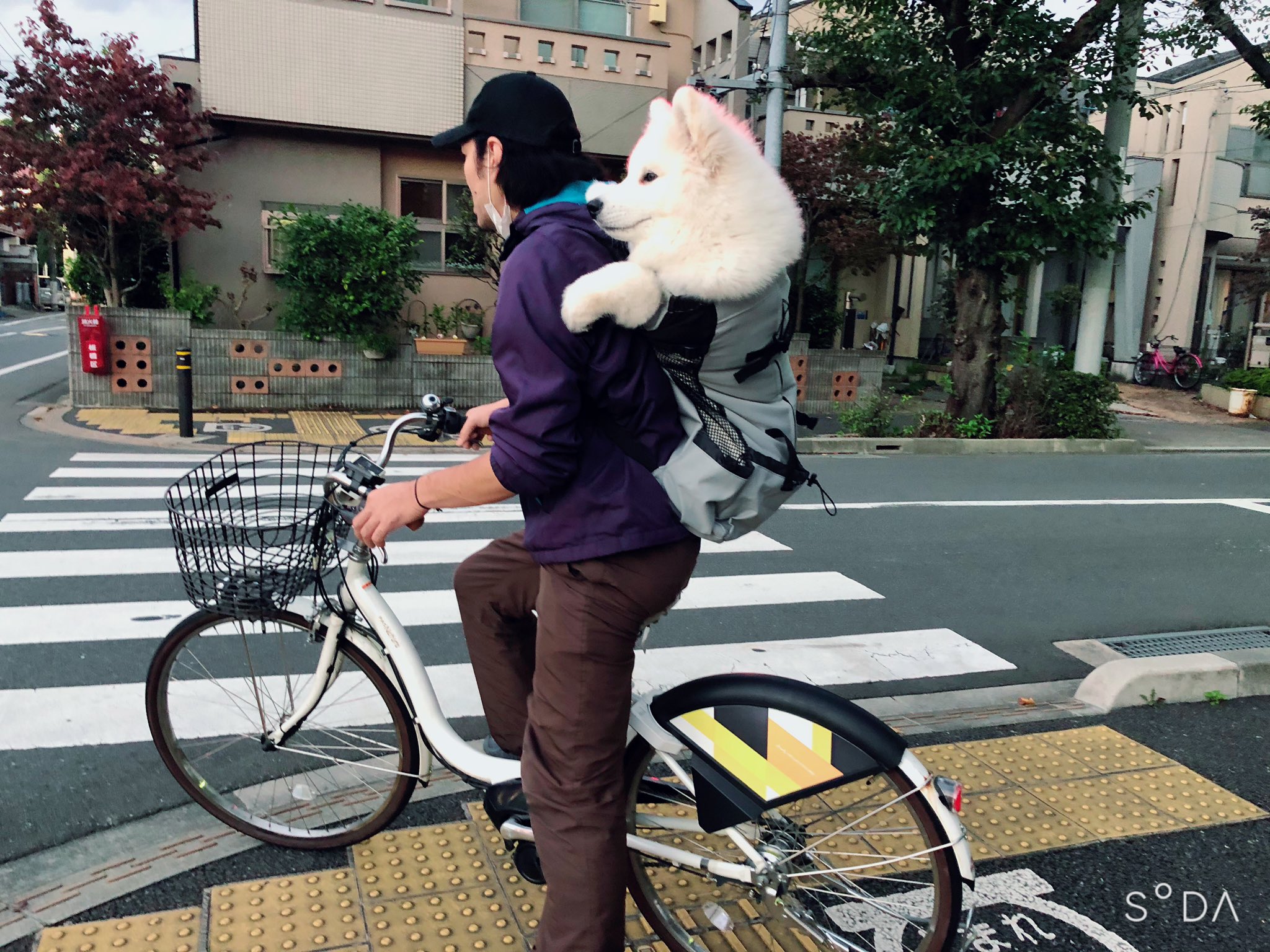 自転車の女性 見てしまう