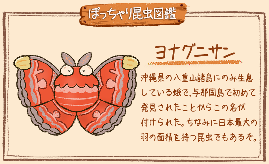 ぽっちゃり昆虫図鑑 略してぽちゃこん Twitterissa ぽっちゃり昆虫図鑑 No 091 ヨナグニサン ぽっちゃり体型の昆虫イラストを毎日描いています 今日は沖縄にのみ生息する蛾のヨナグニサンです しばらく沖縄編続きます ぽっちゃり 昆虫 虫