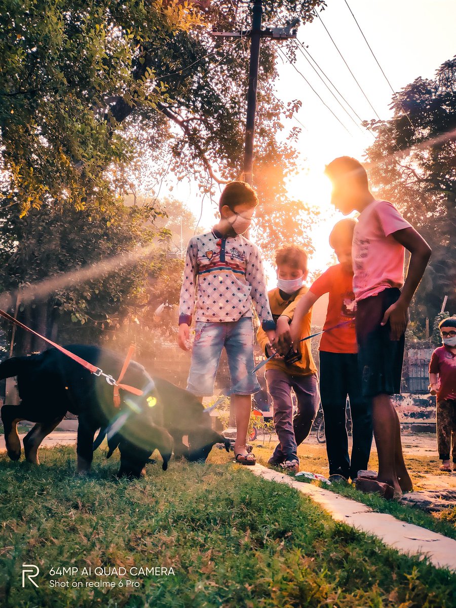 pixelsbyrishav's tweet image. Those morning soft rays! 💛

#shotonrealme #realme6pro @MadhavSheth1 @realmemobiles @NeonVikash @nidhi_bhatia @FrancisRealme