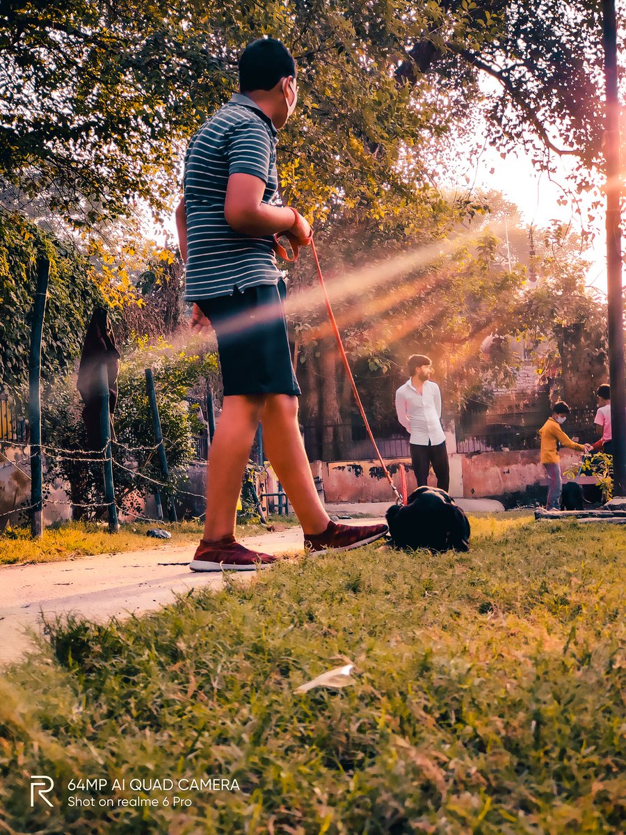 pixelsbyrishav's tweet image. Those morning soft rays! 💛

#shotonrealme #realme6pro @MadhavSheth1 @realmemobiles @NeonVikash @nidhi_bhatia @FrancisRealme