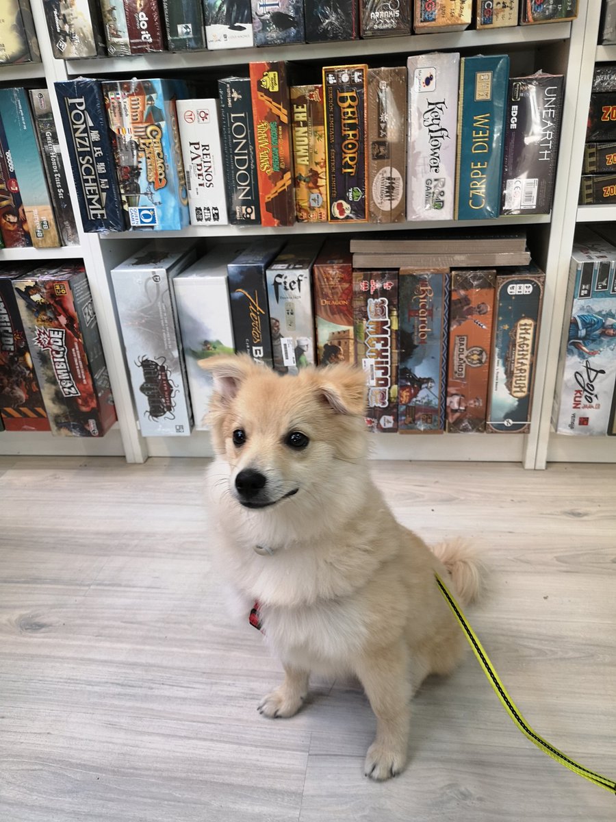 AndarielOficial's tweet image. Sé que estoy dejando un poco de lado el canal de YouTube. Pero voy a implementar cambios y hacer otro tipo de vídeos.

Por las molestias os dejo una foto de Frodo en la tienda #Goblintrader de Zaragoza.