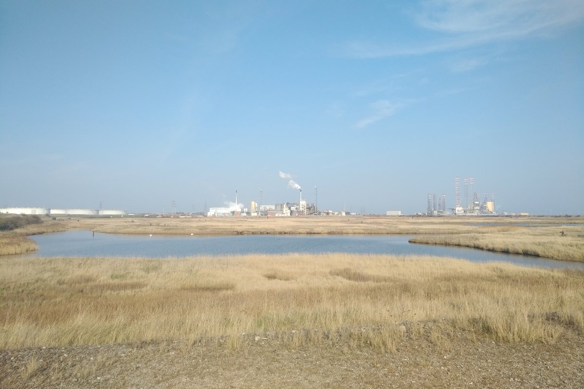 AtomKrafter (@atomkrafter) on Twitter photo 