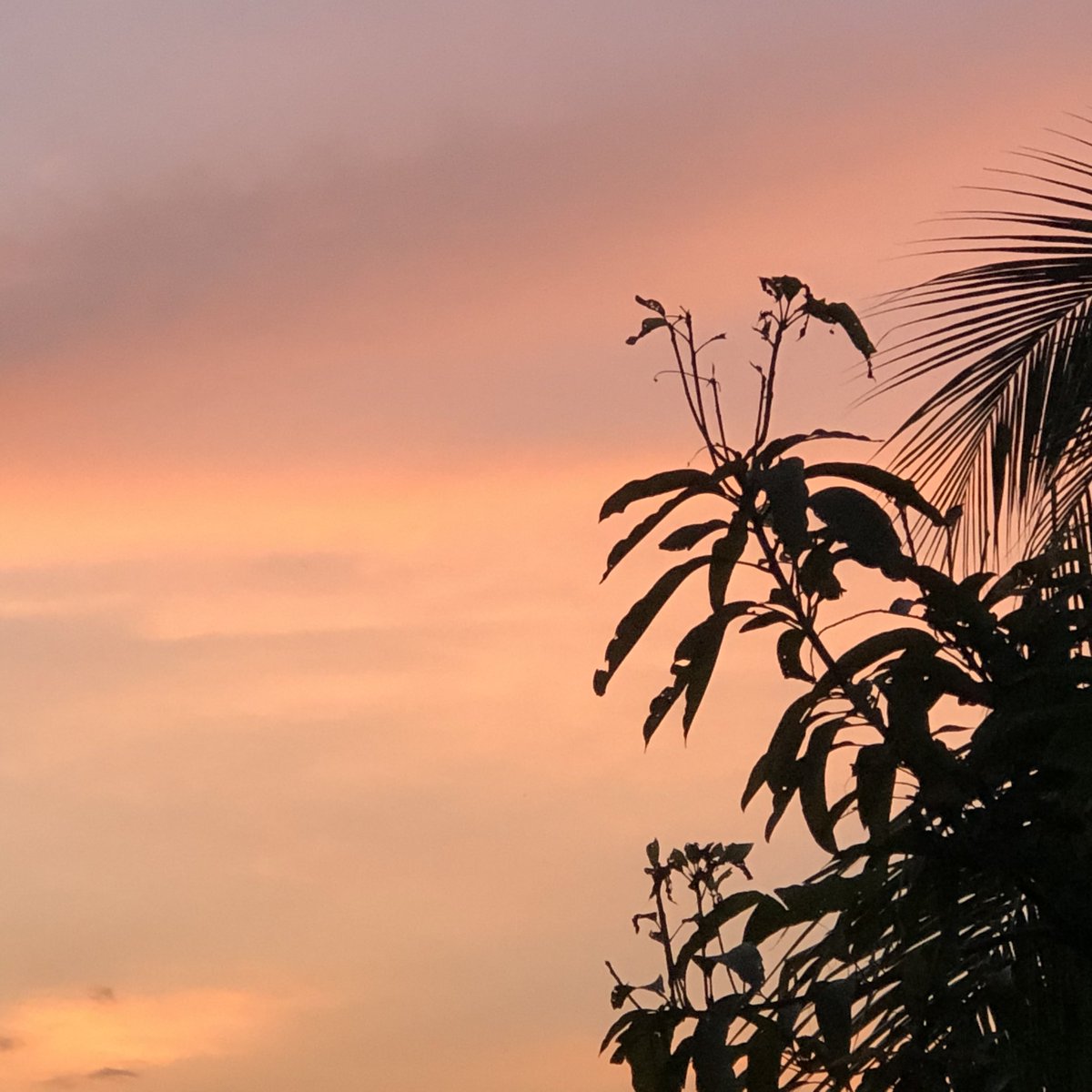 sfkkfs_'s tweet photo. ก็ยังชอบท้องฟ้าช่วง vanilla sky https://t.co/f8odcB4xki