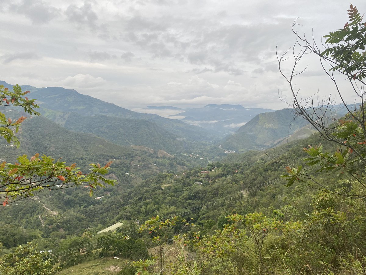 goyo_ducat's tweet photo. Etapa2 #200kincatrailrace #virtualchallenge2020 🇵🇪 86/200k 4.033/10.00D+ @1Trailrunning @trailruncol @TengoAlasTrail @LocosXCorrerOK @MeEncantaCorrer @ManicomioRunner @MontanasCol @ElegiCorrer @vamosacorrer @colombiacorre @SendereandoES #estoyvivo #mascompartirmenoscompetir 🧢🇨🇴 https://t.co/dSa2AKYO4P