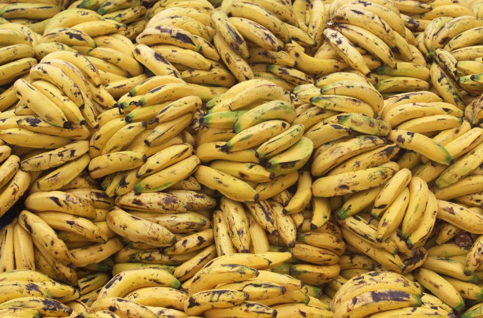 2/ The conversion of a country into an extractive banana republic is function of western imperialism. Specifically, the United Fruit Company (UFC). By 1930, UFC controlled vast tracts of land in Latin America: Costa Rica, Colombia, Guatemala EtcIt exported bananas to the US.