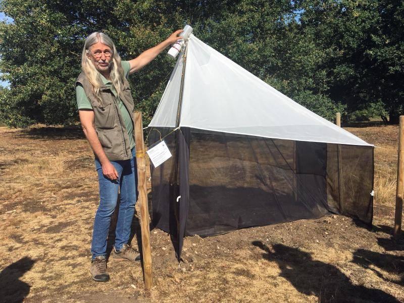 wznewsline's tweet photo. NRW: Insektenrückgang nachgewiesen: Preis für Krefelder Forscher https://t.co/aHhV27LXD4 https://t.co/t4qZp7bp3t