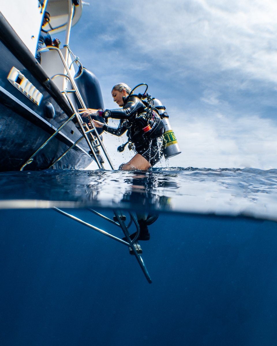DBIfinolhu's tweet photo. 7 DAYS TO GO! Our #reopening team are ready and excited to welcome you back to #Finolhu from Nov 1st 🤩⁠
1. Oceanic Manager Natalie ⁠2. Senior Dive Instructor Tom⁠ 3. Marine Biologist Kiri #SeaYouSoon⁠
@finolhumv @PADI @PADI_Travel @visitmaldives @maldives
📸 @soulseapixels https://t.co/PezN9wFj1Z