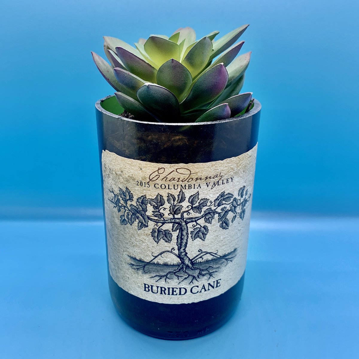 Upcycled wine bottle succulent planter with “buried cane” tree label https://t.co/QP0VfT30n7 #PaintPlantPour #Etsy #FunctionalArt #Tree https://t.co/MZInDMDv8v