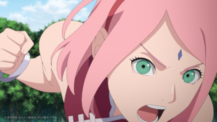 uchihafamsss's tweet photo. Queen in the field! 🌸🌸 https://t.co/1BZBx9Lijn