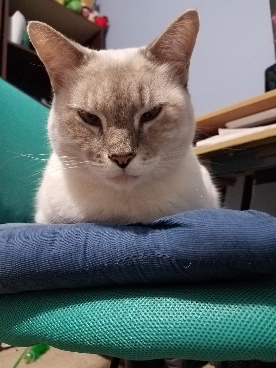 ((Someone stole my computer chair.