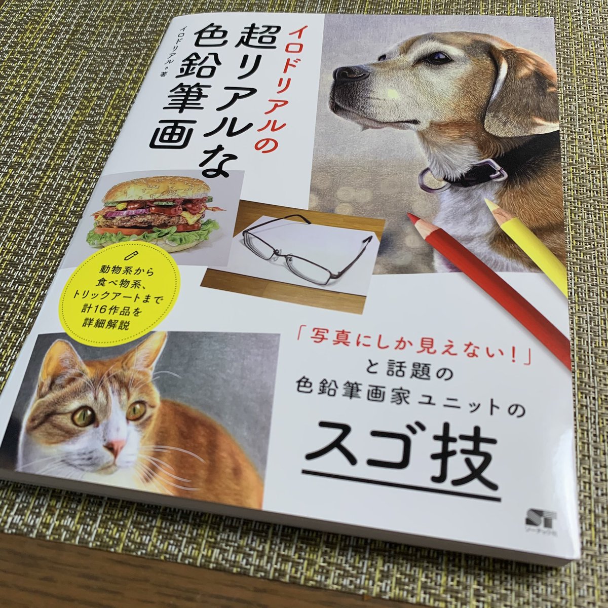 ট ইট র ヨシヲ Yoshio イロドリアルの超リアルな色鉛筆画 が到着しました 一つの絵ができる過程を 細かく説明していただいてて ここまで丁寧なのはあまり無いのでは 自分の教科書的存在になりそう イロドリアル イロドリアルの超リアルな色鉛筆