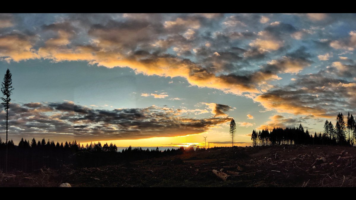 sed's tweet photo. Seen while hiking with @RadRachelLove #sunset #sundown #cloudscape #clouds #landscape #epicset #trees #forest #clearcut #overstoryremoval #beavercreekoregon #hiking #hike https://t.co/y8K2juCmZC