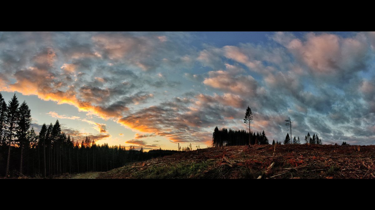 sed's tweet photo. Seen while hiking with @RadRachelLove #sunset #sundown #cloudscape #clouds #landscape #epicset #trees #forest #clearcut #overstoryremoval #beavercreekoregon #hiking #hike https://t.co/y8K2juCmZC