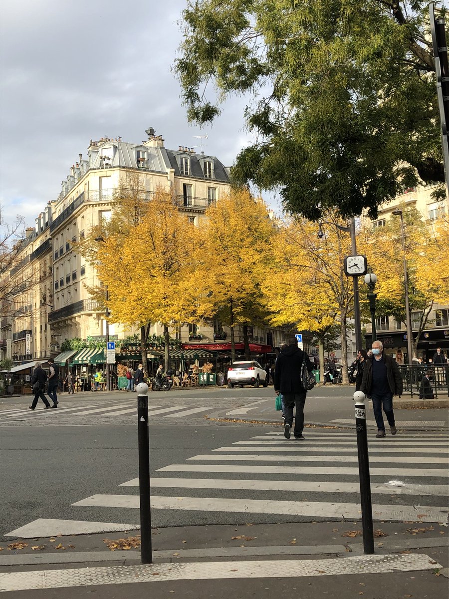 grison_eileen's tweet photo. Soaking up the lovely autumn colours at a Café in #Montparnasse .
#EmilyinParis #TheLeftBank #Paris https://t.co/8xDDmp3USH