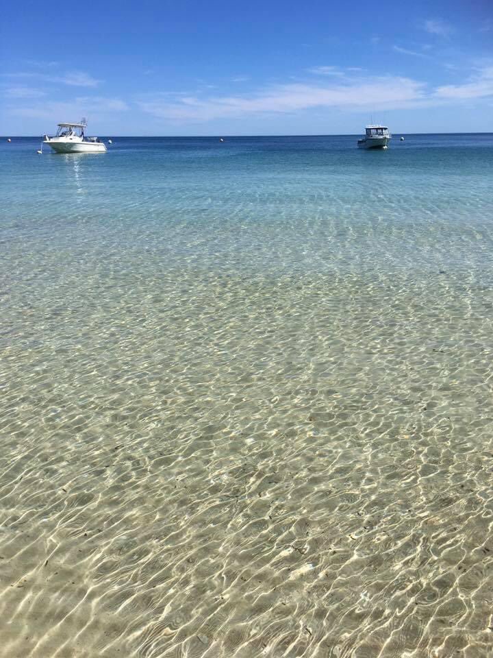 Keshie22's tweet image. Happy 34 degrees #Australianspring ☀️