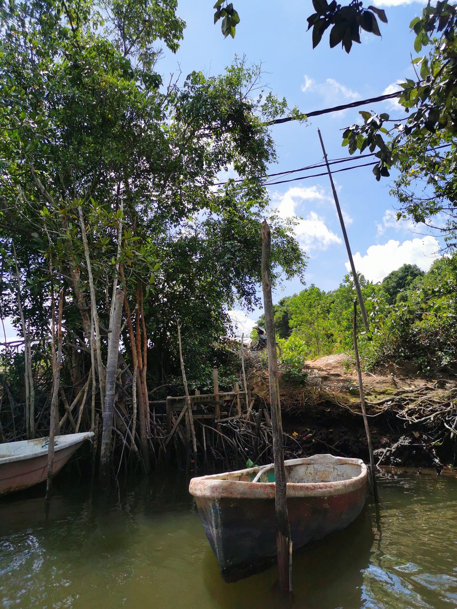 Sepanjang naik bot, aku perasan banyak bot kecil tersidai walaupun air pasang. Ate, nak turun buat apa kalau sungai dah takde ikan, udang, ketam?