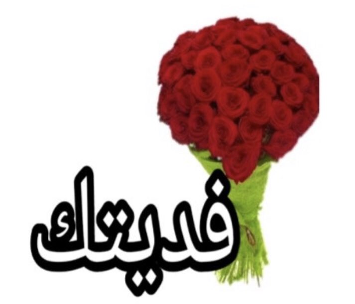 mohamed fayah (@fayahmohamed) on Twitter photo 