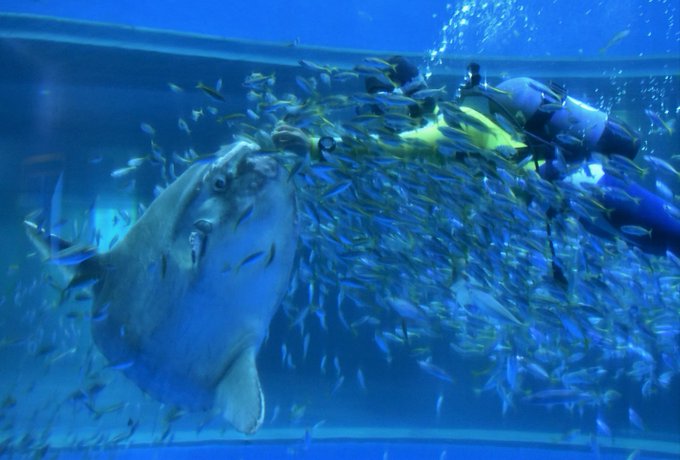 タカベのtwitterイラスト検索結果 古い順