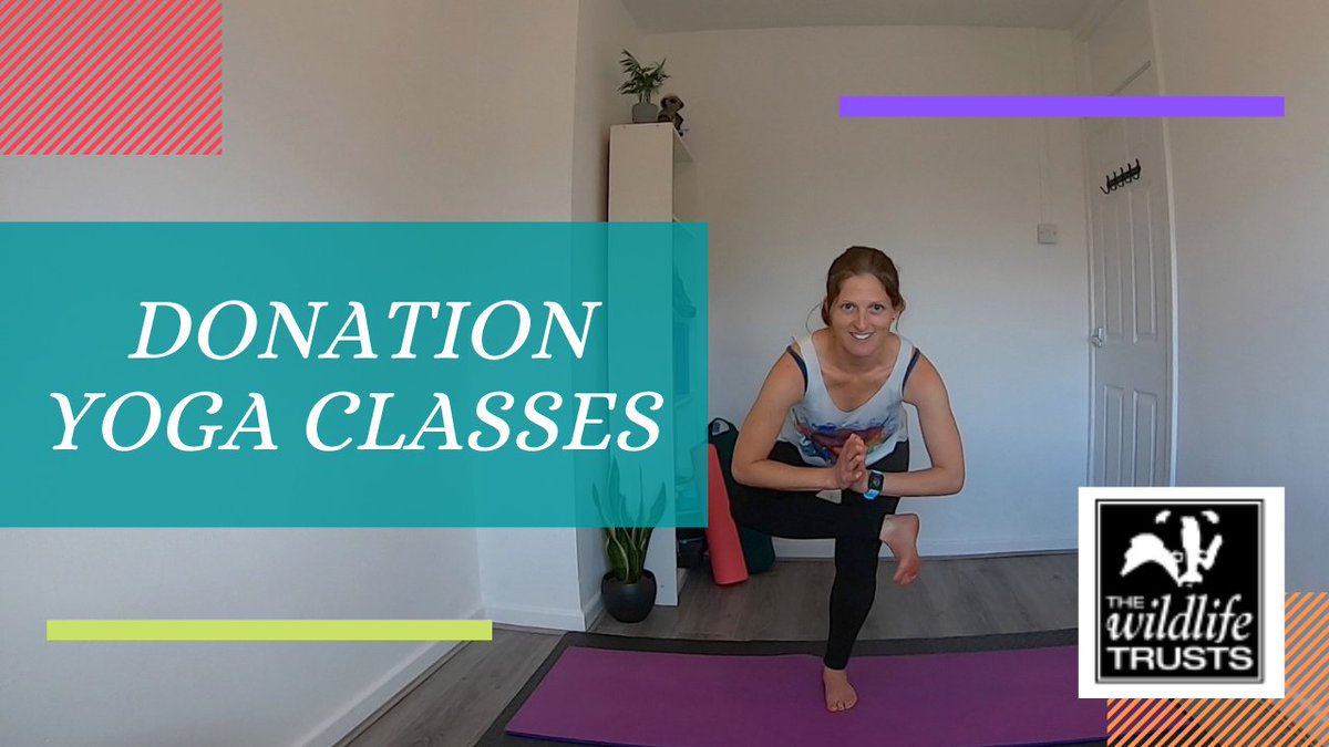 CycleTrekkers's tweet image. Donation Yoga Classes for Avon Wildlife Trust starting 3rd Nov - mailchi.mp/4fe36c28336b/d…