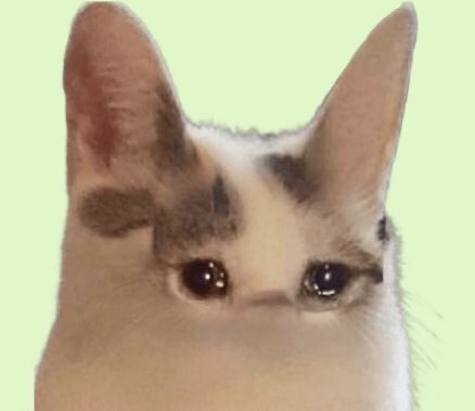 dxbugging's tweet image. 