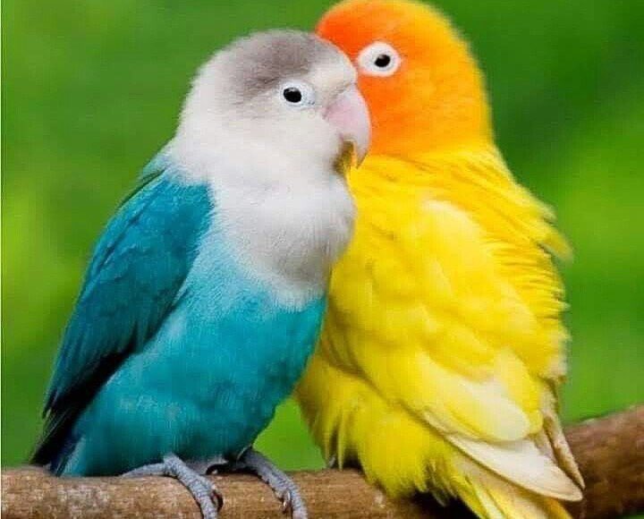 mark am i ugly (@mark94909543) on Twitter photo 