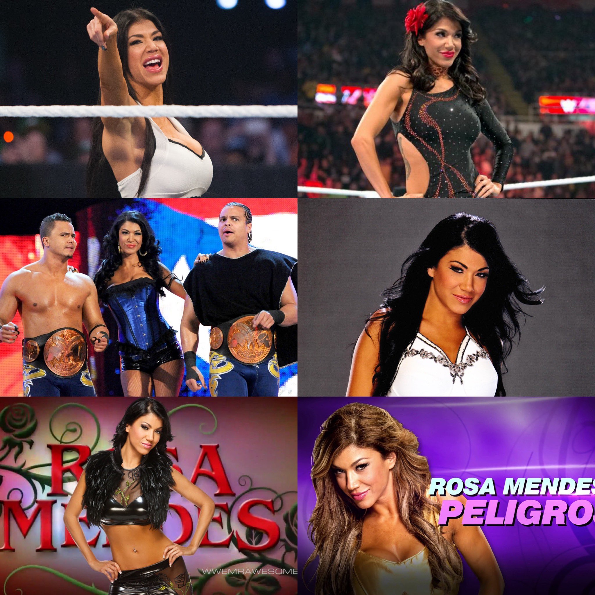 Happy Birthday The Stunning Latina Rosa Mendes! 