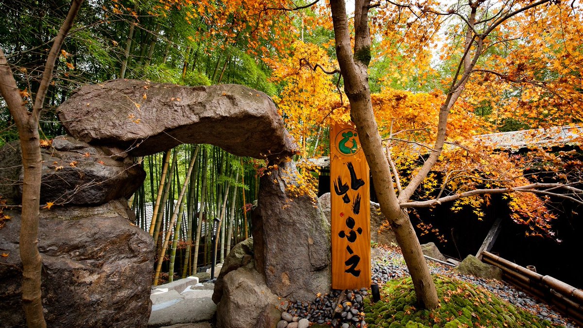 ikitai_yado's tweet photo. 隠れ宿すぎるこの宿は、熊本県阿蘇の『白川温泉 山荘 竹ふえ』
竹と紅葉の林と同化したとんでもなく素敵な空間。どの部屋も、室内/客室露天風呂ともにやばめのプライベート空間で、創作懐石も超一流。
なのでもちろん宿泊費も超一流だけれど、本当に大切な人との大切な記念日なんかに宿泊したいです。 https://t.co/eJc0e1Oy5E