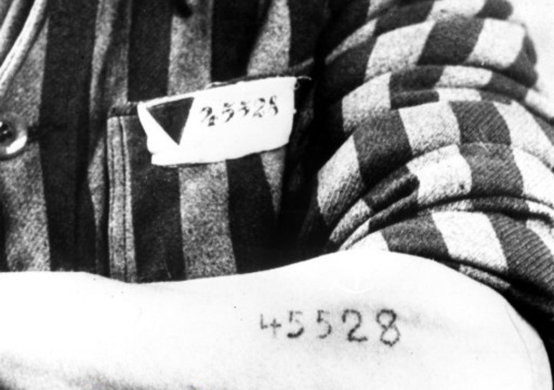 48. It's a month into the Long Walk To Freedom but they've stalled on 505 signatures on the Digital Covenant blockchain. Maybe  @yesdayscotland promoting a personal ID number tattoo has scared the Bejesus out people.  #lwtf