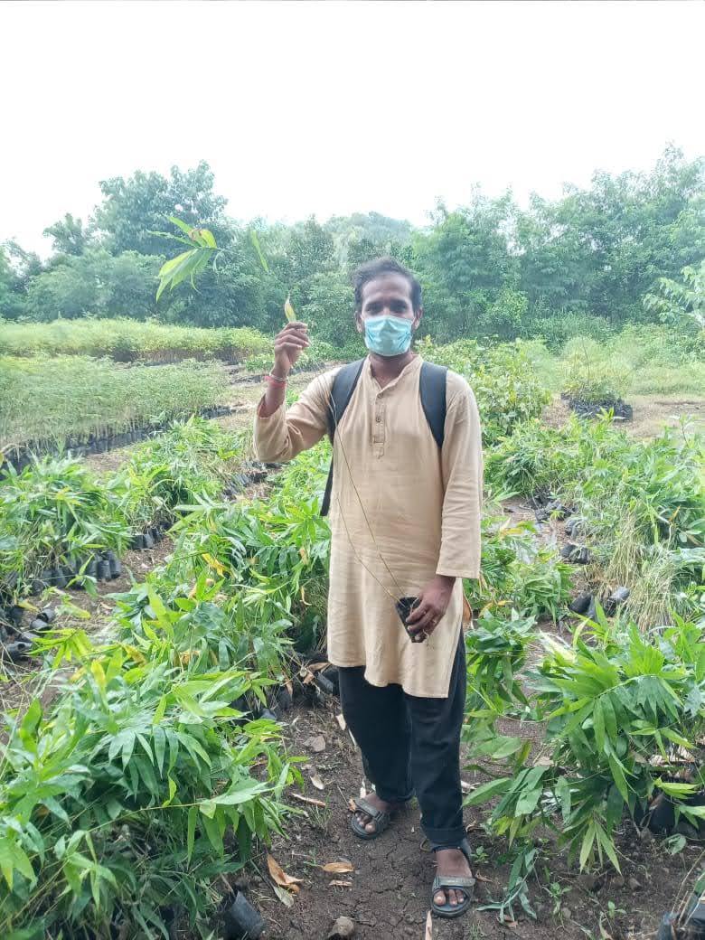 rallyforrivers's tweet photo. #ChroniclesOfNadiVeeras: Our Nadiveeras at #RFRYavatmal helped 32 farmers to grow 6600 saplings of Bambusa balcooa and Bambusa tulda varieties of bamboo for faster economic returns. Jubilant farmers offered Nadi Veeras the first sapling to plant as a token of their gratitude. https://t.co/GRShrOQwH4
