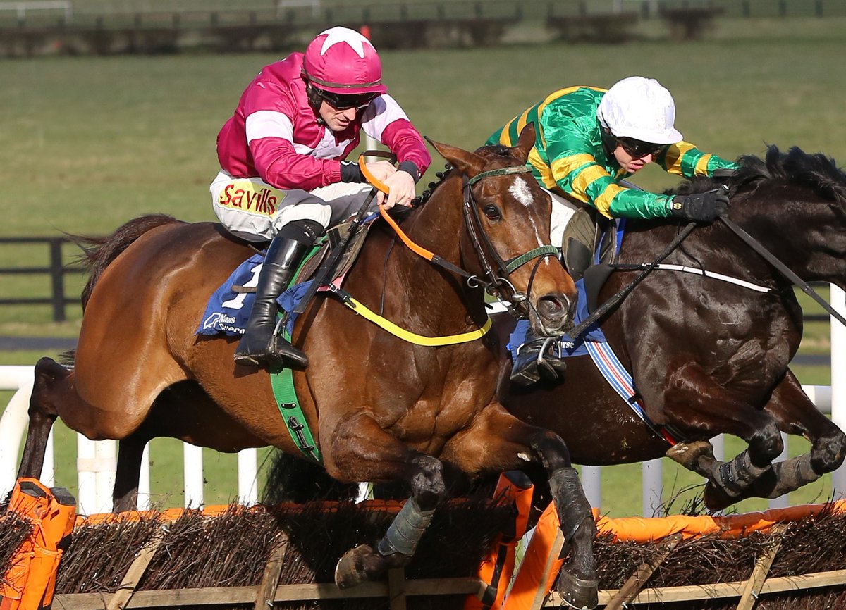 HRIRacing's tweet photo. #TodaysTips - https://t.co/Kc0rq4iBIa
🏇@Galway_Races⏰First Race 12.40pm
🏇@WexfordRacecour⏰First Race 1pm
Jumps action at #Galway and #Wexford this afternoon where there are earlier starts to both meetings.
Our previews are here ↙️
https://t.co/Kc0rq4iBIa #BeaconEdge https://t.co/tErvk6GUHF