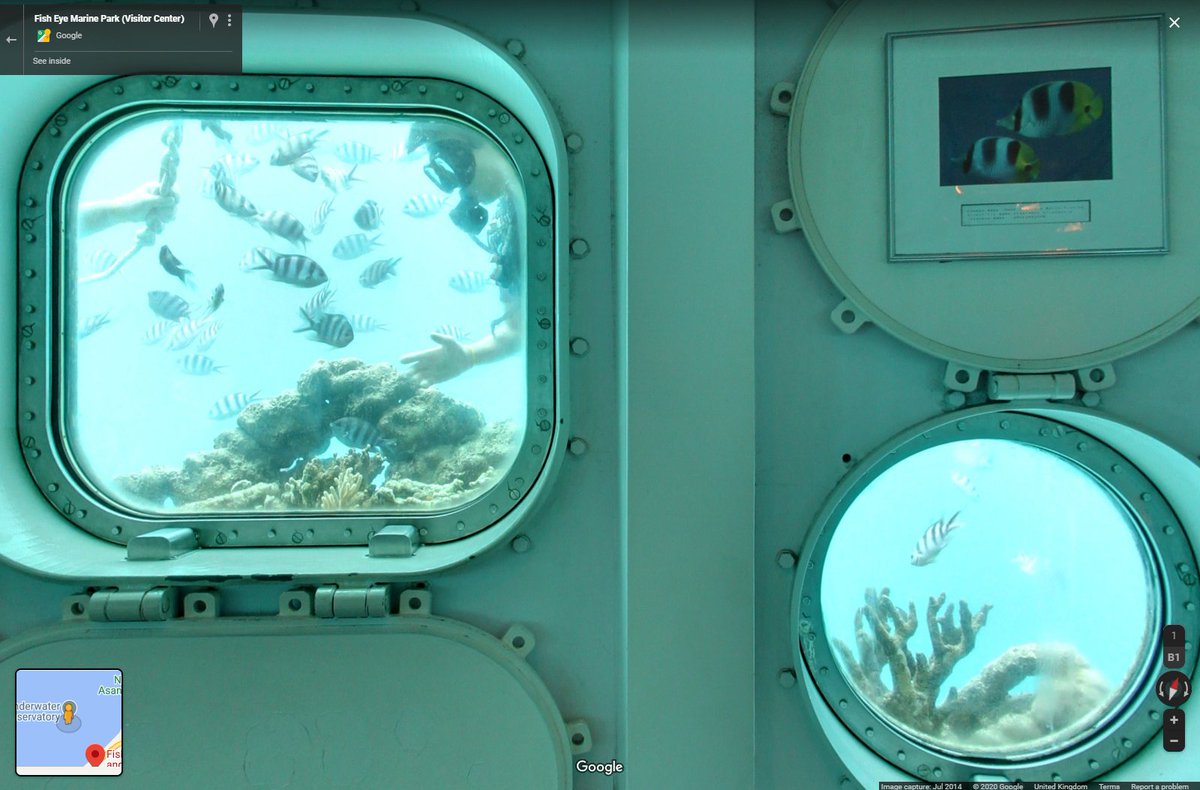 Terra Street View tweet media