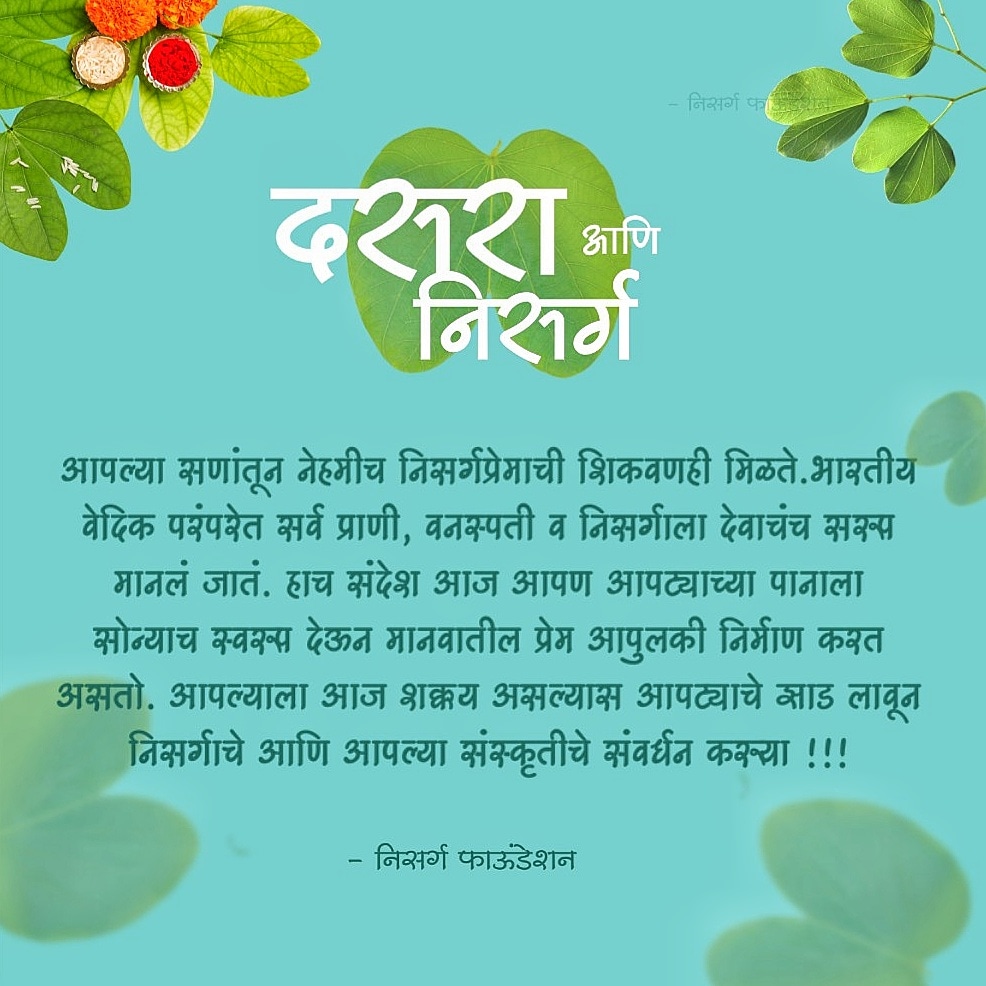 NisargaFdn's tweet photo. #HappyDussehra ☘️ #vijyadashmi #savetree #Greenpromise #aptatree 
#दसरा #विजयादशमी https://t.co/mlvOvK910w