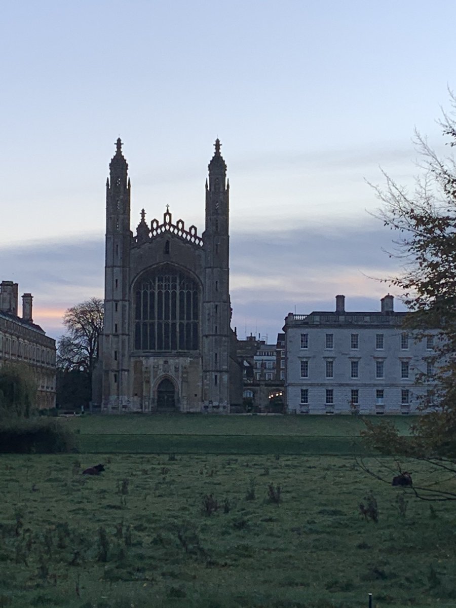 loveswimming's tweet photo. This morning’s run down to The Backs fuelled by golden pineapples, empty streets, glimpses through railings, stripes in the sky and thinking of the generations before us. #Cambridge #BonusHour #StreetLightsWereOnToStart #QuiteLost https://t.co/eq3ia8zNvx