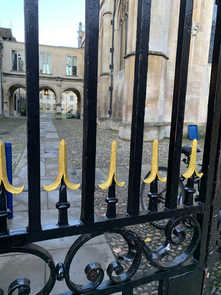 loveswimming's tweet photo. This morning’s run down to The Backs fuelled by golden pineapples, empty streets, glimpses through railings, stripes in the sky and thinking of the generations before us. #Cambridge #BonusHour #StreetLightsWereOnToStart #QuiteLost https://t.co/eq3ia8zNvx