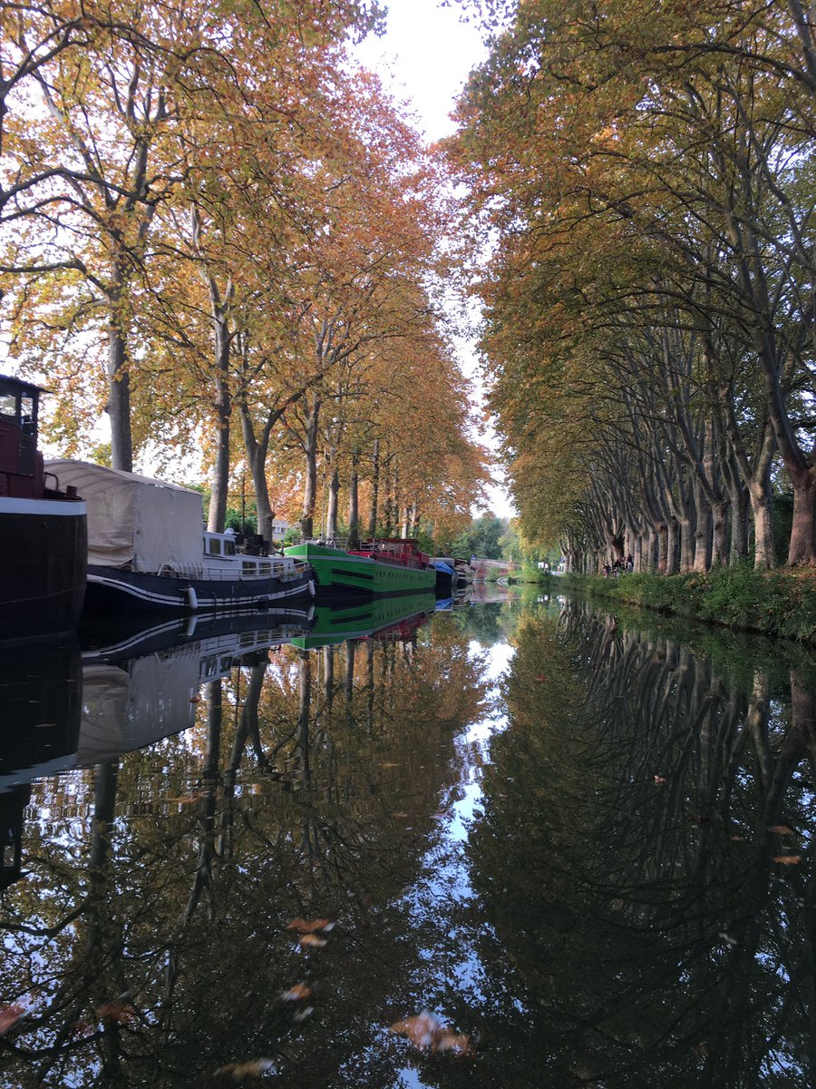 Petite navigation sur le #CanalDuMidi , le calme et les somptueuses couleurs de l’automne 
#MagnifiqueFrance