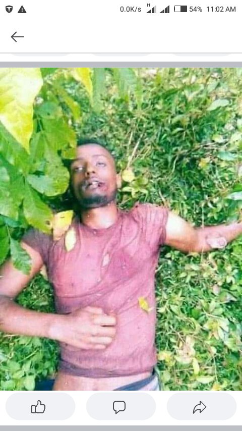 GelasaMu's tweet photo. Yesterday five youths were killed in nekemte,in oromia by Ethiopian security forces. #300Lives3Months 
@amnestyusa @human @GreggHoush https://t.co/W0VH1x354l