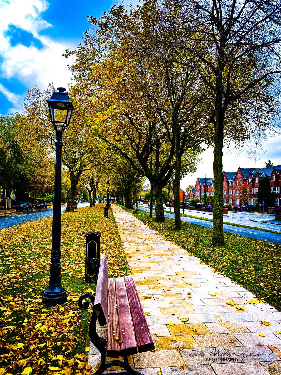 limanganphotos's tweet photo. Beautiful autumn colours in Princes Road today 🧡
📸 by Li Mangan #loveyourliverpool #liverpool #lovemyliverpool #loveliverpool #liverpoolphotography #autumn
#photography #L8 #toxteth #Lightroom #photoshop #sefton #agameoftones  #nikond3500  #igersmersey500 #limanganphotography https://t.co/vexV5pkZdH