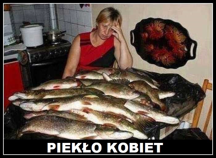 caerbanog_'s tweet photo. @strajkkobiet To jest prawdziwe piekło kobiet. Zaatakujcie wszystkie siedziby PZW. https://t.co/H9wTZ4irmD
